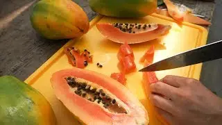 Papayasenf oder wie die Papaya ins Glas kommt