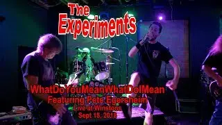 The Experiments - 