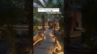 Habitat by Firangish | open garden restaurant | Nagpur #nagpur #nagpurfoodies #nagpurfoodie #food