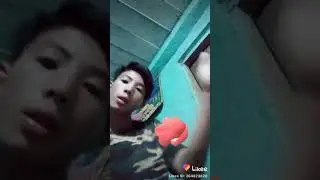 Yangstar