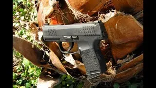 Sig Sauer P365 Vs Glock 43