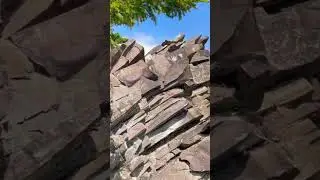 #sagarkinary #beautifulview #indiansinusa #viralvideoinusa 🇮🇳🇺🇸