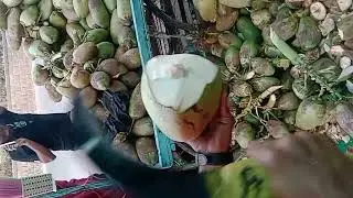 # coconut water cutting skills #aayatnomi#