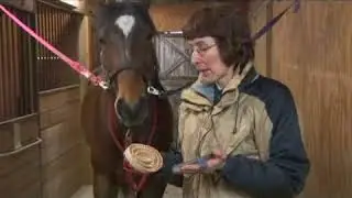 Benefits of Horse Curry Combs