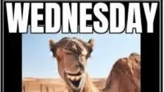 DJ ELLERY PRESENTS THE HUMP DAY MIX SHOW