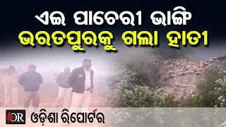 | Odisha Reporter