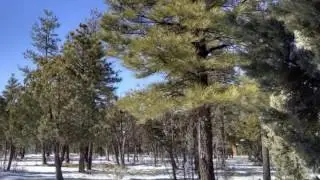Lot 286 Roundup Lane, Starlight Pines