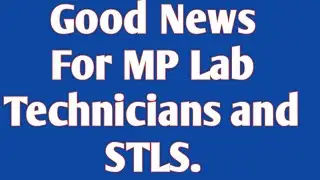 Good News for LT and STLS MP