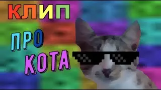 самый крутой клип про кота 2019