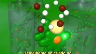 BIOLOGIA MAIS - FOTOSSÍNTESE - FOSFORILAÇÃO ACÍCLICA - PROF. FERNANDO BELAN