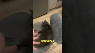 Мой бренд одежды TOTAL TRENDY на ВБ. Большие скидки, готовлю новую модель