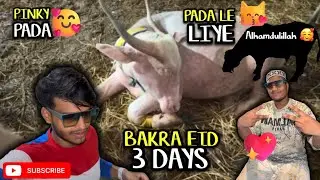 Bakra Eid All 3 Days vlog | bohat late hogaya🫣@Fatehkhanshorts @rajabbutt94