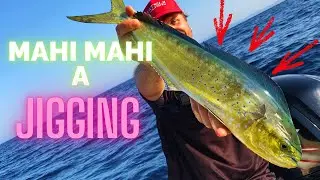 &Eacute;pica PESCA de LLAMPUGAS y ATUNES a JIGGING en el ATARDECER
