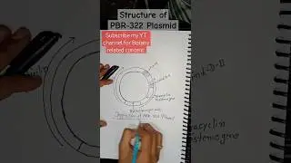 Structure of PBR-322 Plasmid #botanywithtabbu #structure #studyshortvideo #viralshort #botany #class
