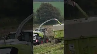 Maize Silage  #backbritishfarming #britishfarming #farminglife