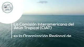 Medidas de conservaci&oacute;n para atunes en el oc&eacute;ano Pac&iacute;fico Oriental CIAT IATTC