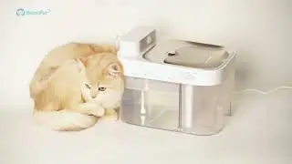 Revolutionary FT-10 Pet Fountain: No Filter, Pure Innovation!