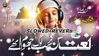 SAKOON PAYA ❤️🎧🎬/////(Slowed+Reverb) beautiful naat ramzan coming soon #ramzancomingsoon#naatsharif 
