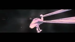 CheckDaCrou - Intro