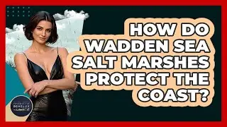 How Do Wadden Sea Salt Marshes Protect The Coast? - Exploring The Benelux