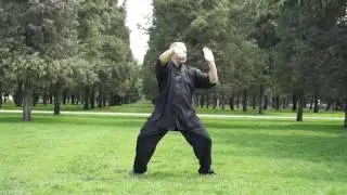 Tai Chi Handform in Beijing 2016