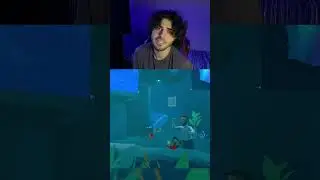 THE GAME WHERE WE ARE FISH &rarr; I Am Fish