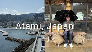 Atami, Japan | First time driving in Japan! + Famous Capybaras