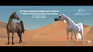 7th Qatar Peninsula Arabian Horse Show - Day 1 - Season 2021 - 2022