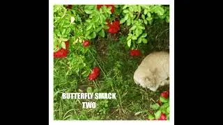 BUTTERFLY SMACK - Points of friction (noise rock)