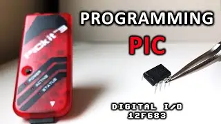 PIC Microcontroller & Digital I/O