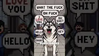 The Vine app a husky story in a minute. #shorts #vineapp #history #historyinaminute #tiktok