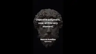 STOIC QUOTES - JUDGEMENT, ACTION AND ACCEPTANCE -  #marcusaurelius #shorts