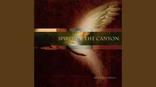 Ancient Spirits