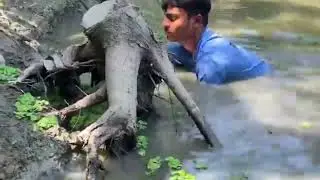 Primitive Hand Fishing Technique | Carp Fish Catching By Village Smart Boys#handfishing #villagelife