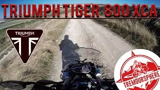 Triumph Tiger 800 XCA - Trail Riding