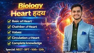 Human Heart (हृदय) Complete knowledge 