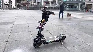 Weped FF - Latest look and additions