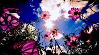 [HD] Sunset & Neil Bamford - Belissima (Original Mix) [2000+ subscribers & 100th upload]