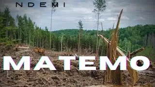Ndemi Matemo
