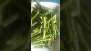 Bambooshoot menu for today #vegetablemenu #ilocanodish #probensyanalife