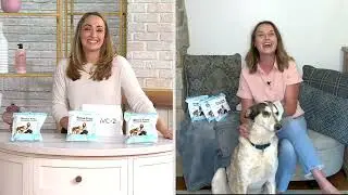 Scrubby Pet 15-Pk Rinse Free On-the-Go Shampoo Pet Mittens on QVC