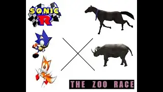 The Zoo Race, but with Sonic R music
