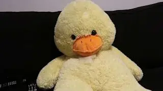 EL SE&Ntilde;OR PATO QUIERE DOMINAR EL MUNDO