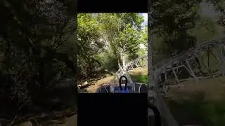 Fun auf der Natur Bobbahn #berlinerleben #kienbergpark  #unterwegsmitralf