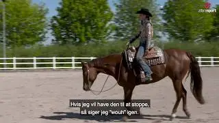 Hvordan rider man westernridning?
