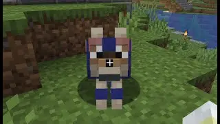Puppy and Armor!