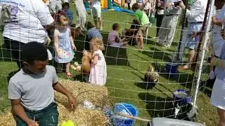 DFW Traveling Farm Animals for Events - Oba Farms Mobile Petting Zoo - Dallas Texas
