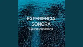 Experiencia Sonora
