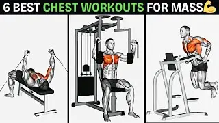 Ultimate Chest Workout