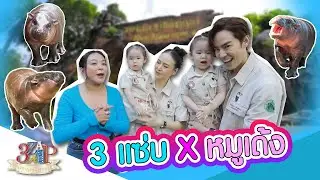 น่ารักมากๆ “บีม ออย อัญญา อัยวา” บุกไปดู “หมูเด้ง” แต่เช้า!! | 3 แซ่บ | 24 พ.ย. 67
